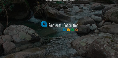 Ambiental Consultings