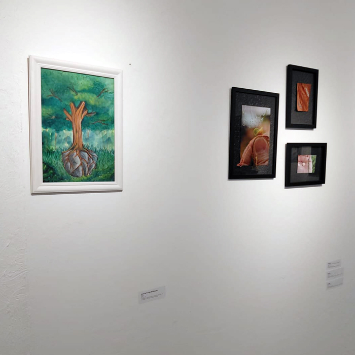 Foto da exposição 13