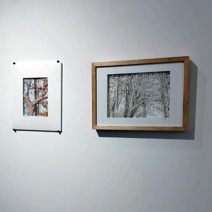 Foto da exposição 17