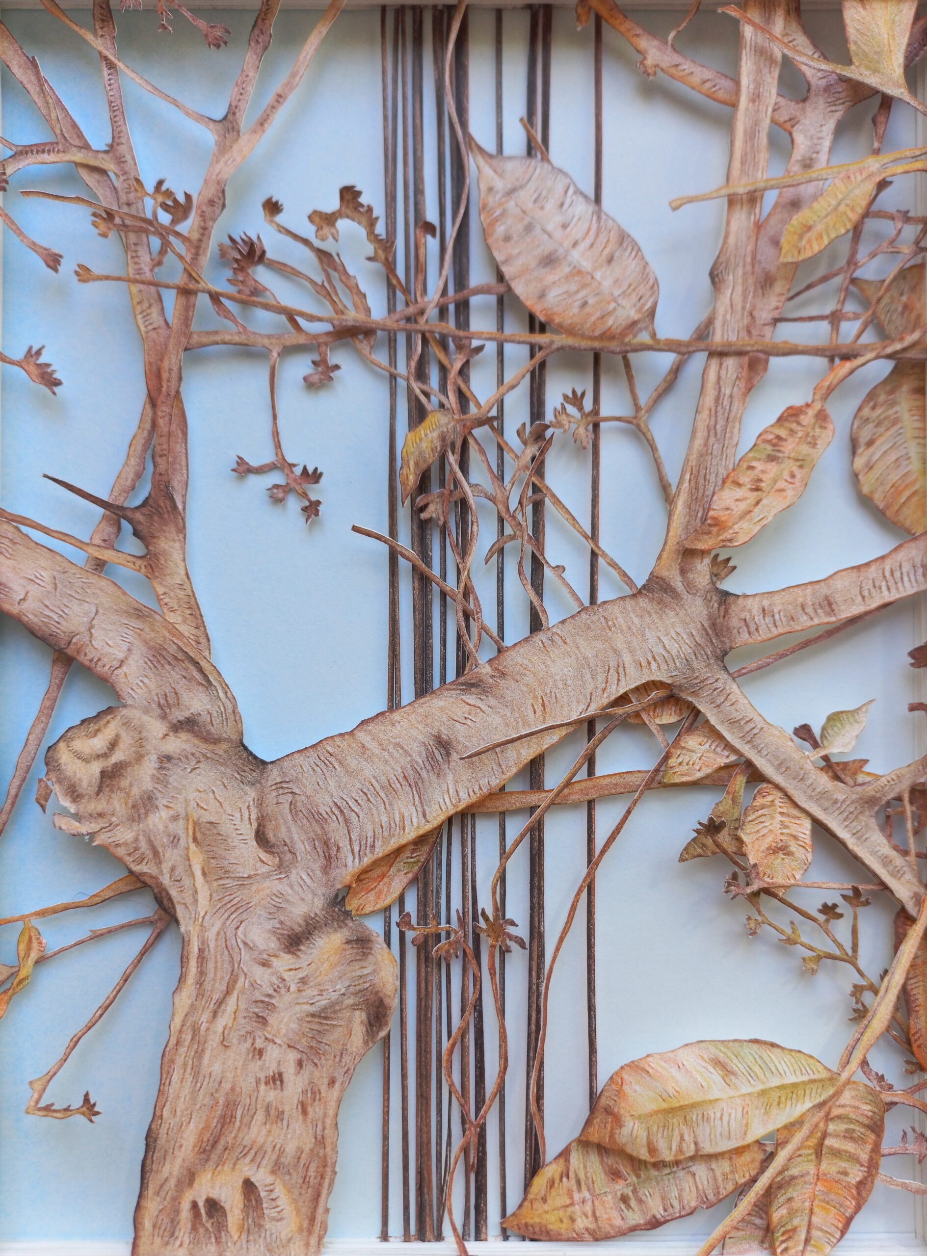 JP - Olhe para o céu