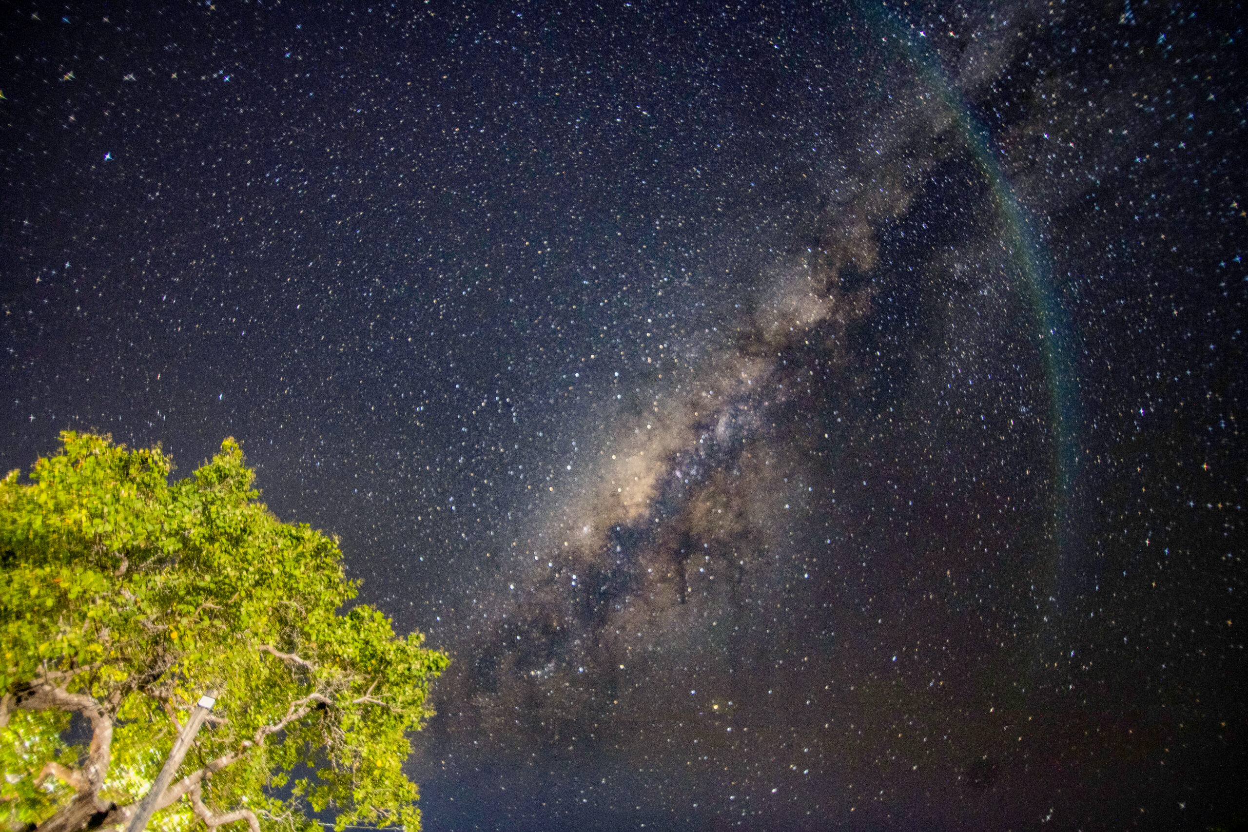 Goetheanas - Amanhecer